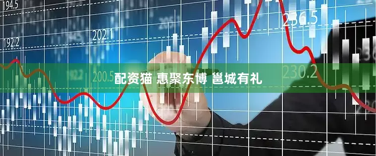 配资猫 惠聚东博 邕城有礼