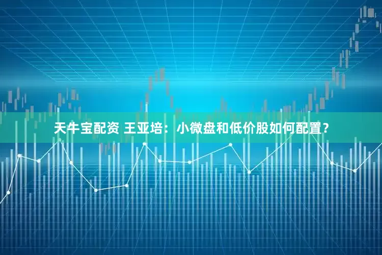 天牛宝配资 王亚培：小微盘和低价股如何配置？